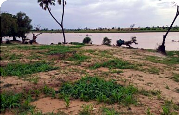 Cours d'eau dans une zone d'intervention du projet